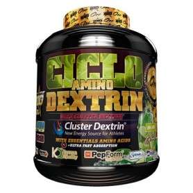 BIG CICLO AMINO DEXTRIN 1.5 KG
