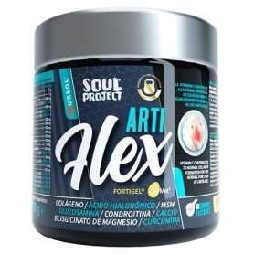 SOUL PROJECT ARTIFLEX 300 GR
